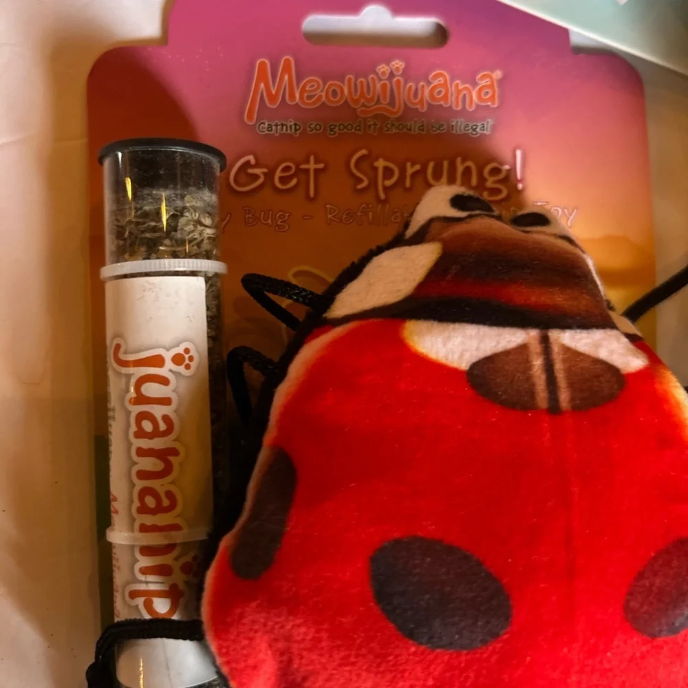 New 5 Cat Toy Catnip bundle